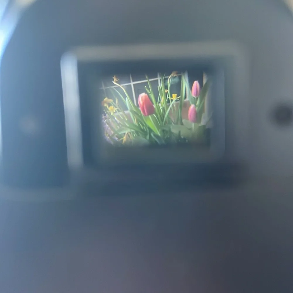 Canon EOS Rebel S